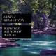 Son De pluie Rain Sound - Son De Pluie Magique (Rain Sound and Nature Your Health and Meditation)