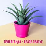 poster Белое платье Белое платье