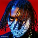 album image Laisse tomber Laisse tomber
