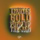 Thomas Gold - Pump up The Jam (Remix)