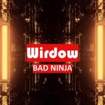 album image Rock The Party Wirdow