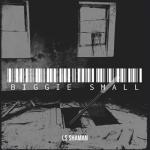 album image Biggie small Biggie small