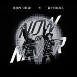 album image Now Or Never