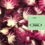 album image Halcyon and On and On Orbital 2