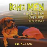 album image Who Let the Dogs Out? Essential 90s (100 Chart Topping Hits)