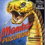album image Samba Percussions du Monde