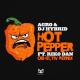 Agro, DJ Hybrid feat. Riko Dan - Hot Pepper (Objectiv Remix)