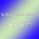 Sukran Abdullayev - Sevgilim