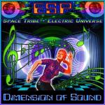 poster Wormhole (Original Mix) Dimension Of Sound