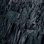 album image Tainted Ghost of You