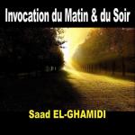album image Adkar - Saad Al Ghamidi, Pt.2 invocations Vol 10 (Quran)