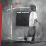 album image SOUL EXPRESS Black Tarantella