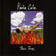 Paula Cole - I Dont Want To Wait ТЕМА ИЗ БУХТЫ ДОУСОНОВ!!=)))