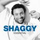 Shaggy - Mr. Boombastic (Sting Remix)