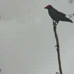 album image HAYIRLI CUMALAR HAYIRLI CUMALAR