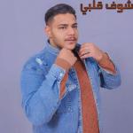 poster شيرين الوتر الحساس شوف قلبي
