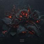 album image Low Life
