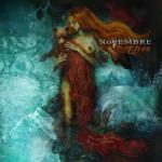 album image The Rose Ursa