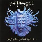 album image Divine Moment Of Truth Are You Shpongled?