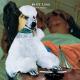 White Lung - Snake Jaw