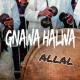 Gnawa Halwa - Allal