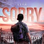 poster Sorry Sorry