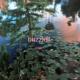 Dosey, Blocktane, Nate2timez feat. steezy prime - buzzkill