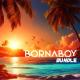 Borna Boy - Bundle