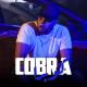 7-Toun - Cobra