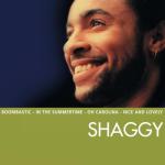 album image Mr. Boombastic (Sting Remix) Essential