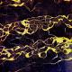 clams casino - im god ﾉ slowed + reverb ﾉ