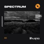 album image Spectrum (Say My Name)