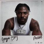 album image Active Lungu Boy