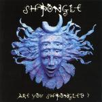 poster Divine Moment Of Truth Are You Shpongled?
