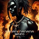 album image NANANI NANANA GAZO NANANI NANANA GAZO