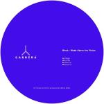 poster Shake Your Euphemism (Instrumental) Blade Above the Vision