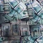 poster Mula Mula