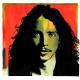 Chris Cornell - Seasons