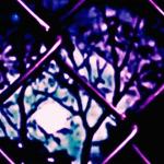 poster wutiwant (Tik-Tok Slowed) wutiwant (Sped Up & Slowed Versions)