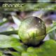 Phanatic - In My Head (Original Mix)