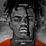 poster 23 Island Misunderstood