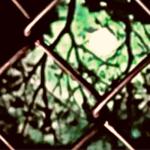 album image wutiwant (best part)