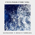 album image Feelings for You