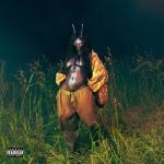 album image What Do I Do