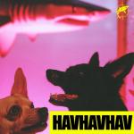 album image HAVHAVHAV