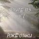 Poke Otaku - Route 113 (From 