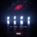 album image Numb to the Feeling Numb to the Feeling