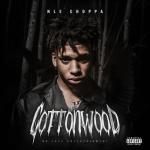 album image Shotta Flow (feat. Blueface)