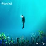 poster understand understand