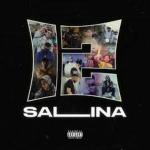 poster SALINA SALINA